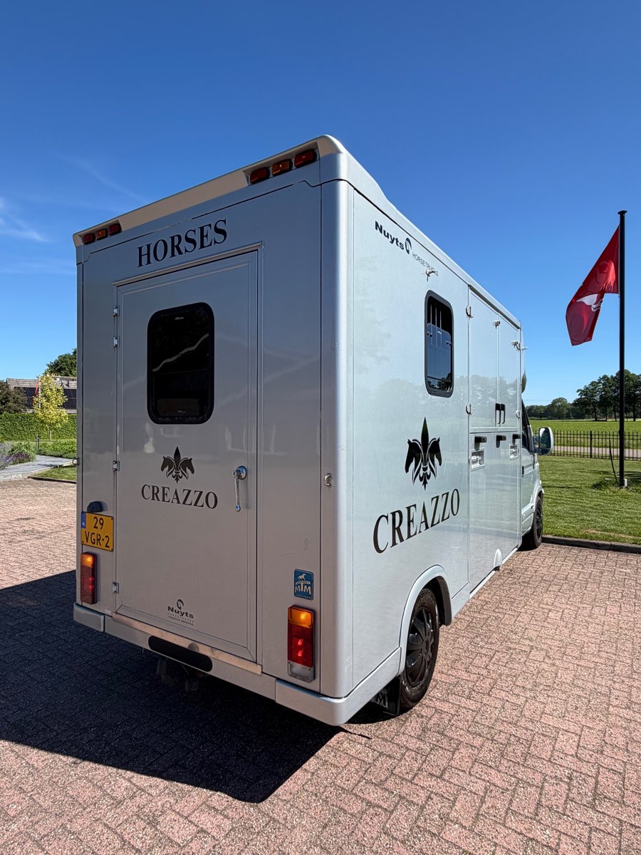 RENAULT MASTER 2-paards paardenwagen foto 10